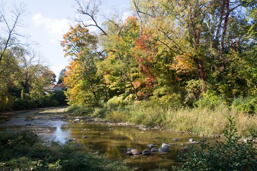 Shallow river bend with fall foliage on the banks.