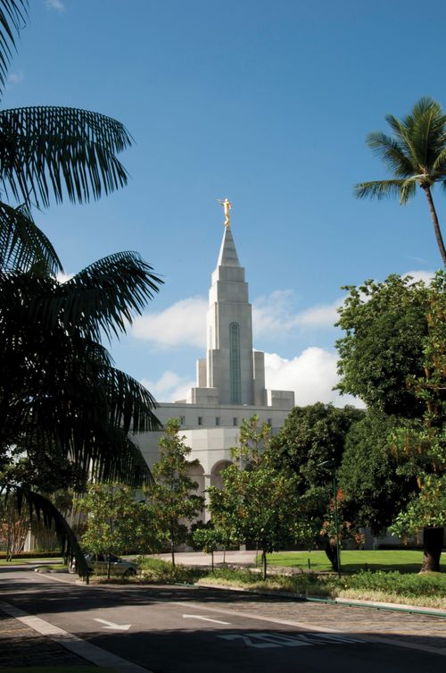 The spire of the Recife Brazil Temple extending above trees on the grounds of the temple, with a view of the road leading up to the temple in the foreground.