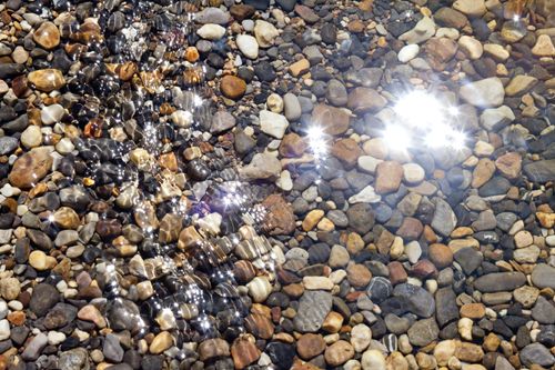 A large variety of small pebbles seen in the bottom of a still pond or lake with the sun reflecting off the rippling water.