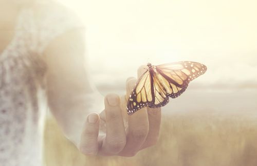 butterfly on someone’s fingertips