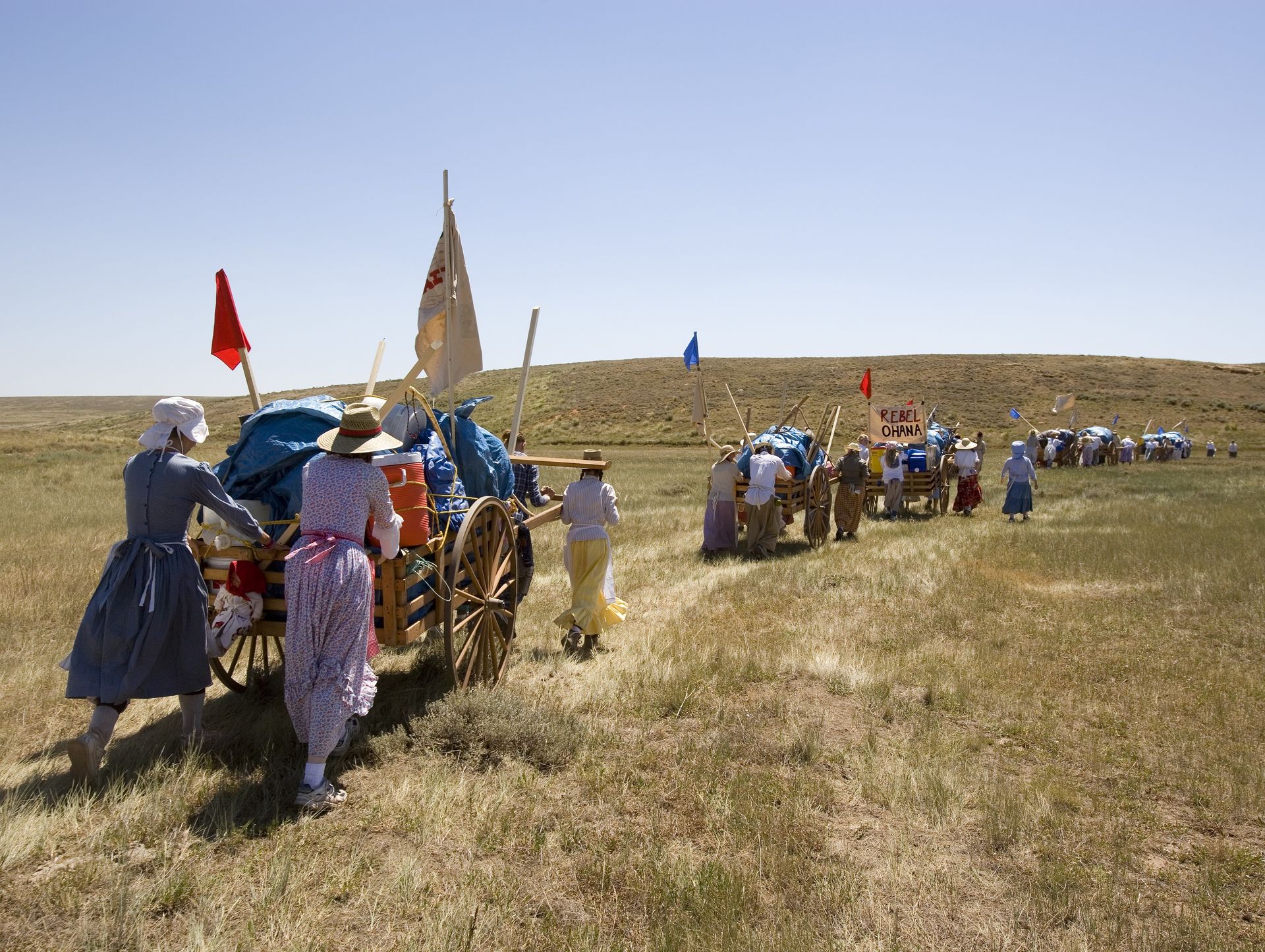 Young men and young women dressed in pioneer clothing push handcarts through a field and fly flags during trek.