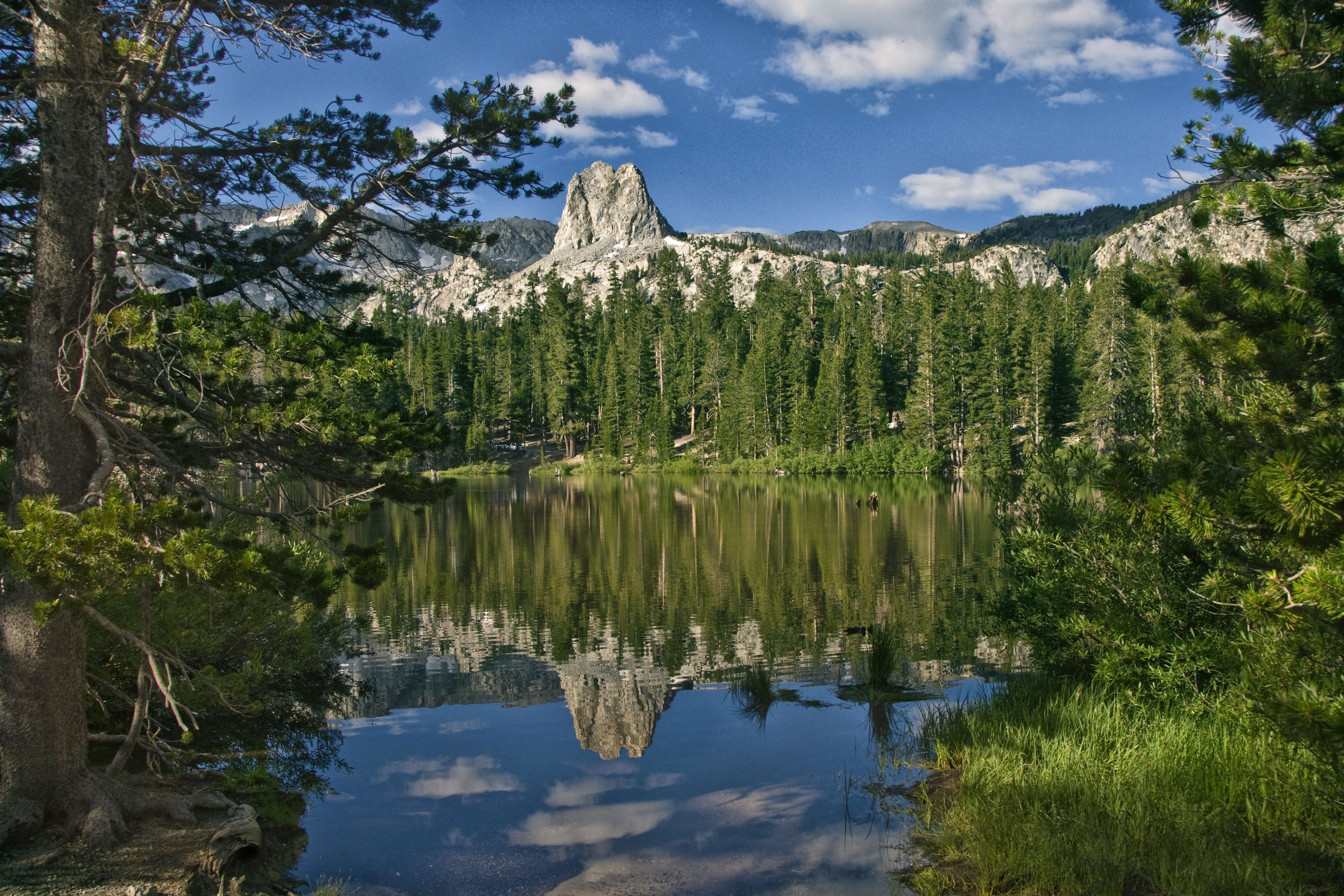 A forest surrounds a lake with mountains in the background.