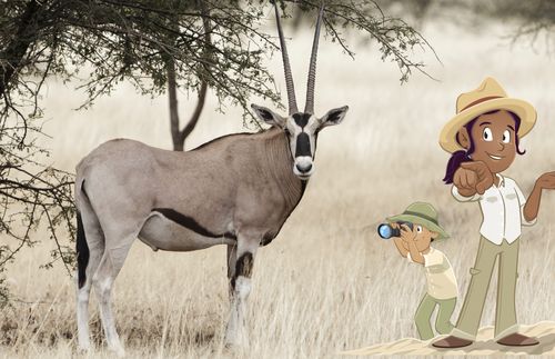 kids looking at animal called an oryx