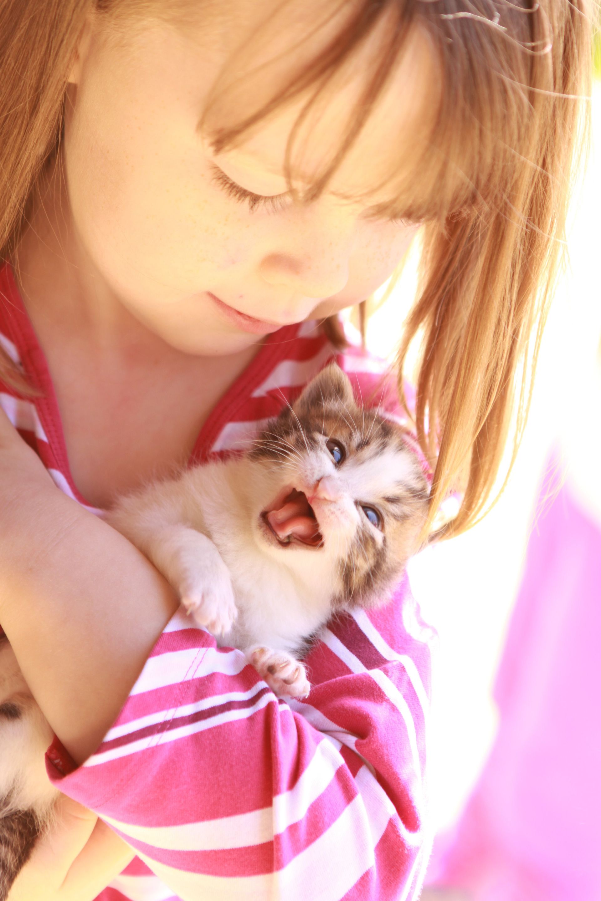 A young girl holding a kitten.