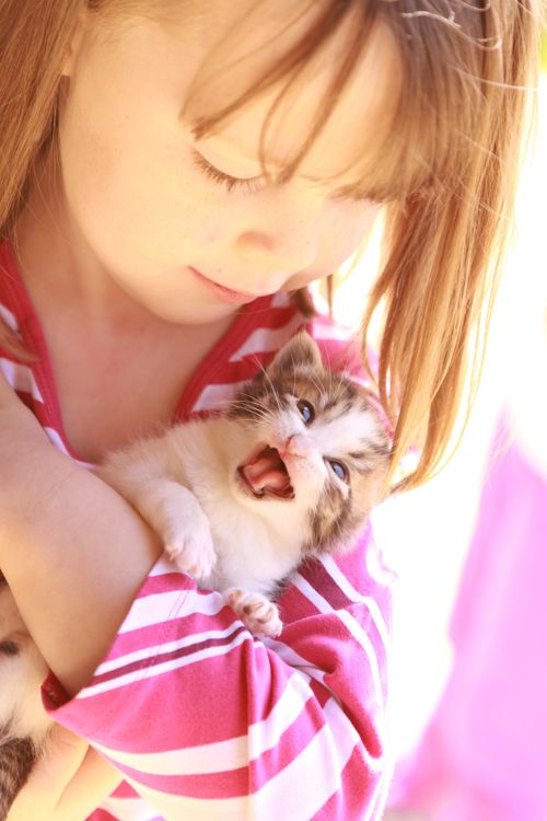 An image of a little girl holding a mewing kitten.