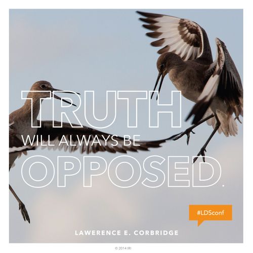 A photograph of two birds flying, combined with a quote by Elder Lawrence E. Corbridge: “Truth will always be opposed.”