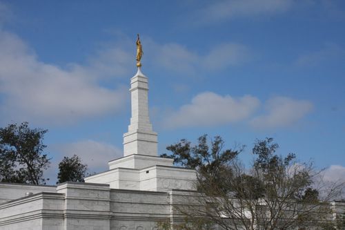 A view of one of the sides of the Baton Rouge Louisiana Temple, with a green tree next to the temple’s fence.