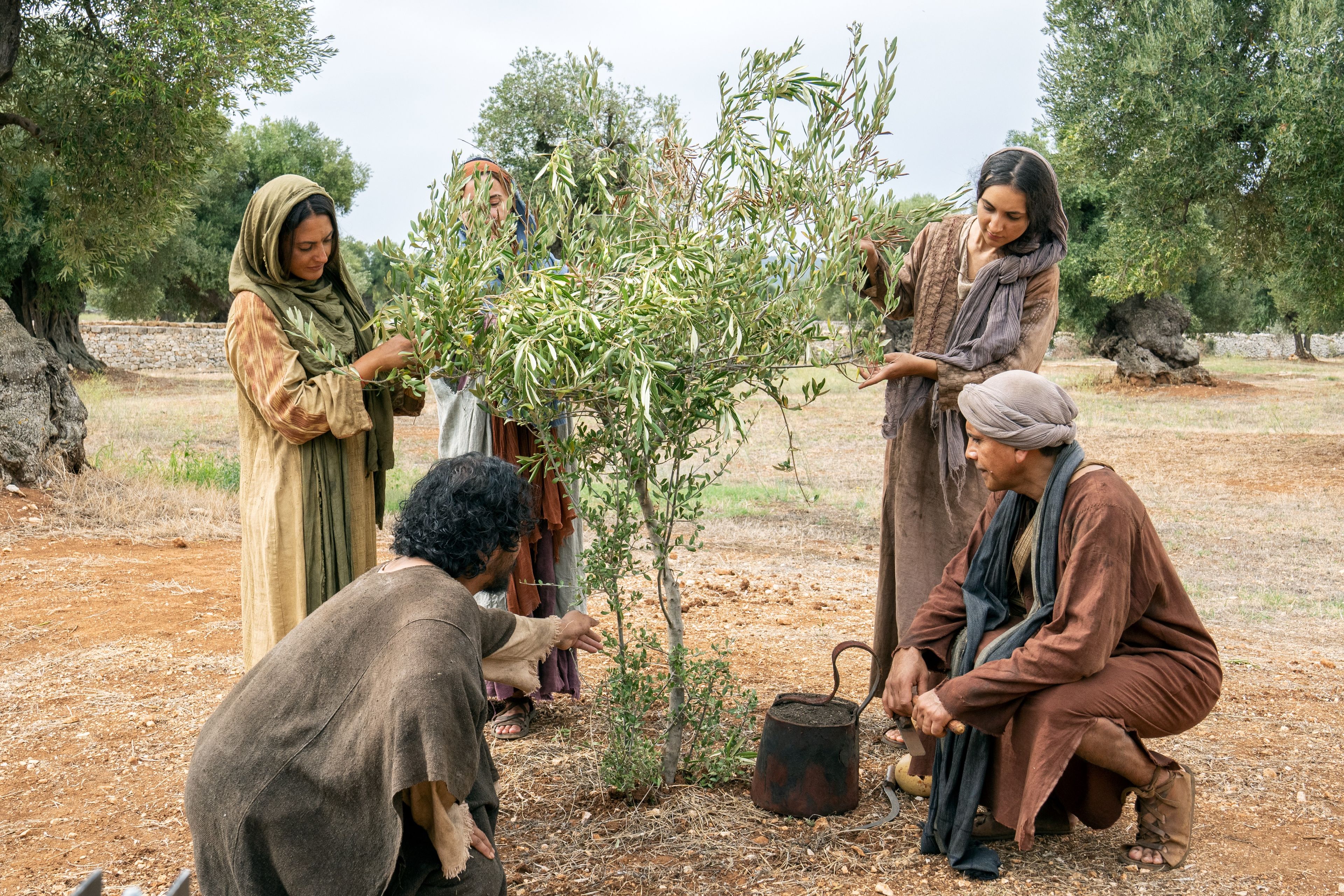 The Lord of the Vineyard and his servants, men and women of all ages, nurture a planted branch. This is part of the olive tree allegory mentioned in Jacob 5.