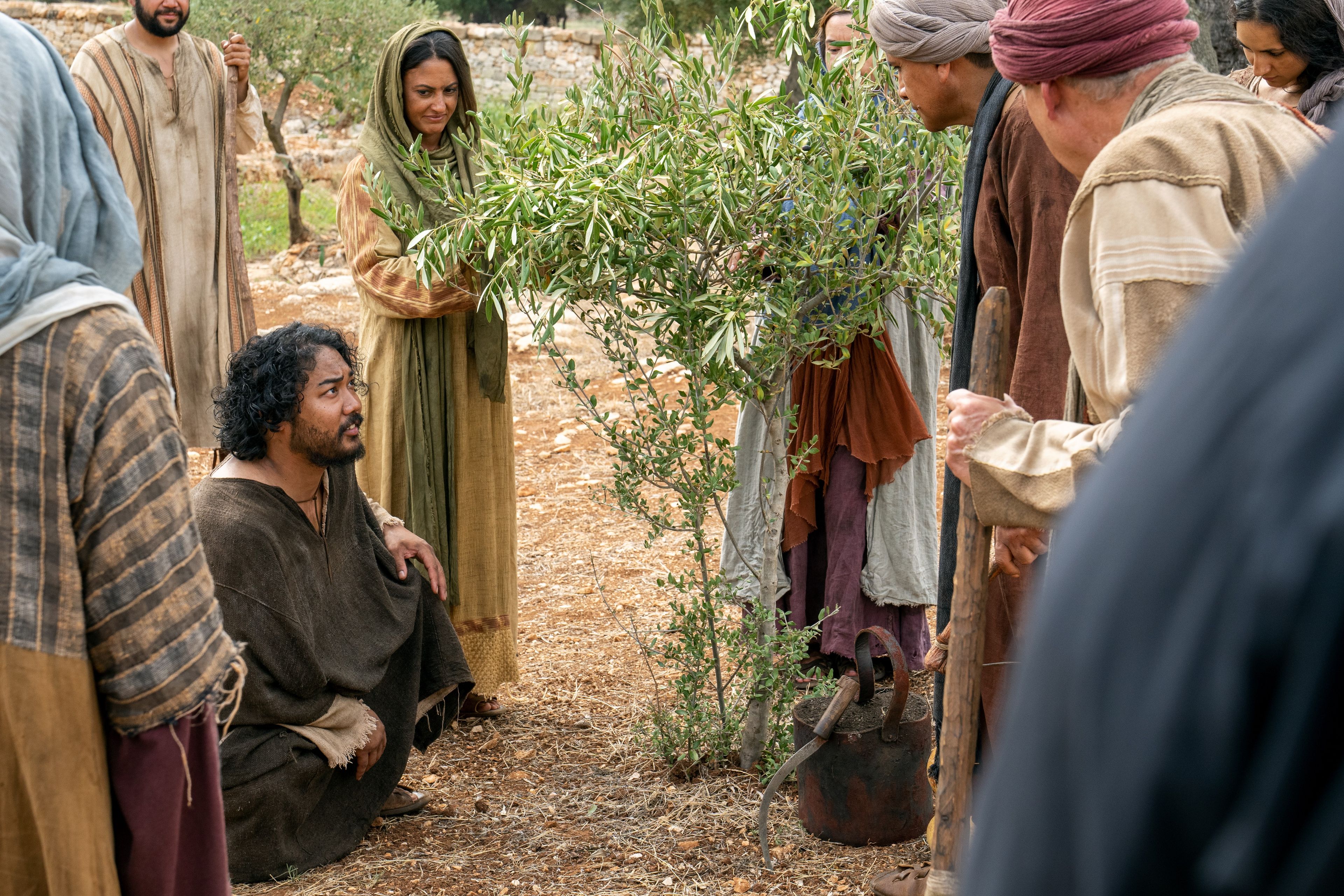 The Lord of the Vineyard and his servants, men and women of all ages, inspect a planted branch. This is part of the olive tree allegory mentioned in Jacob 5.