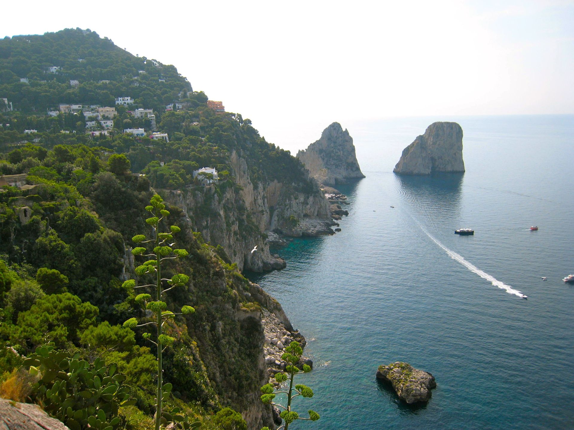 The coastline in Capri, Italy.