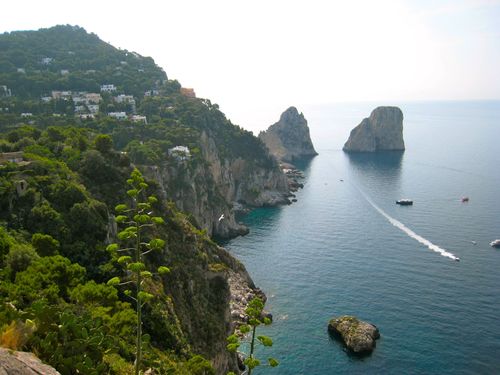 The coastline lined with trees, houses, and rocks in Capri, Italy.