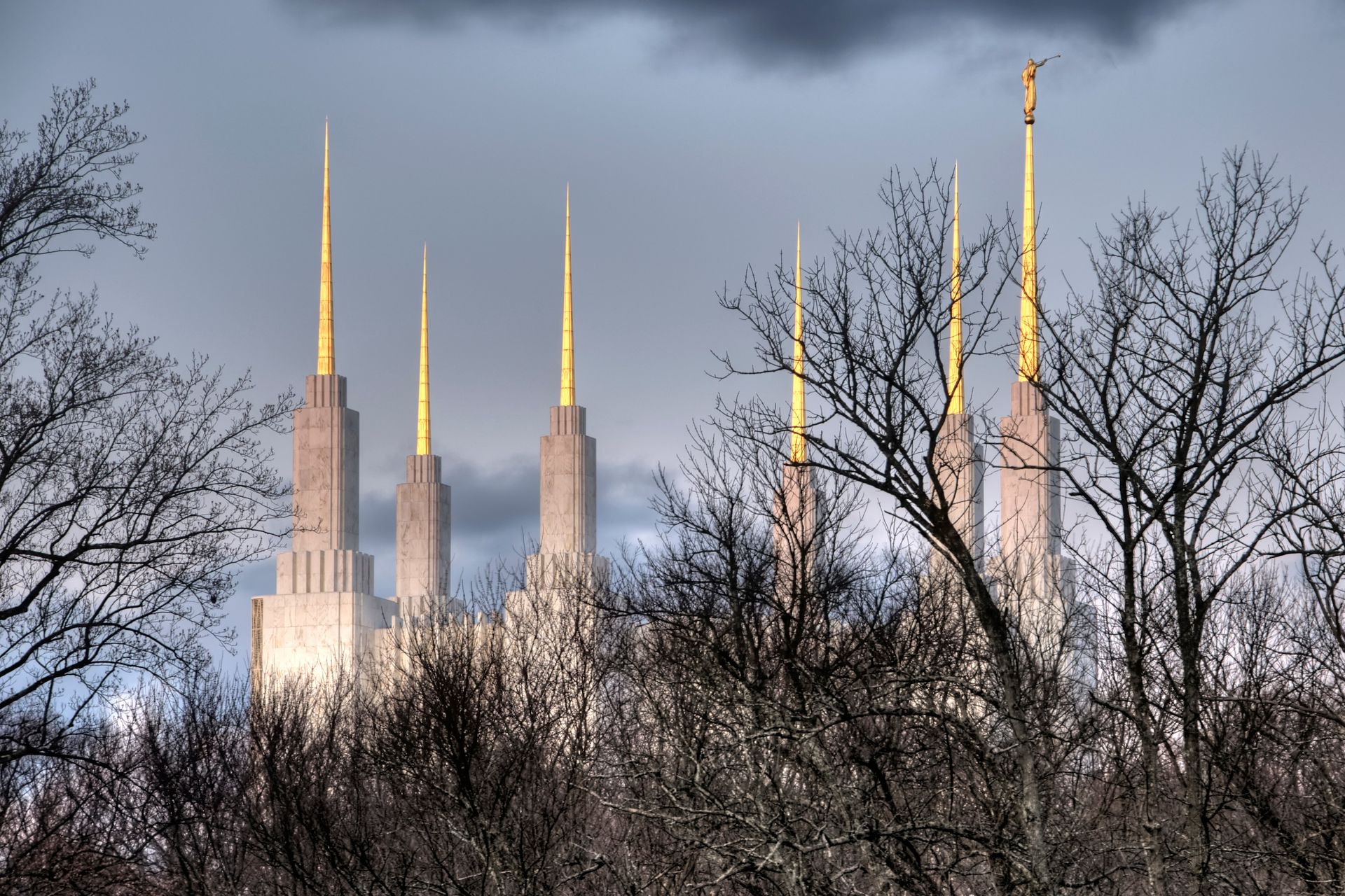 The Washington D.C. Temple spires, with trees.