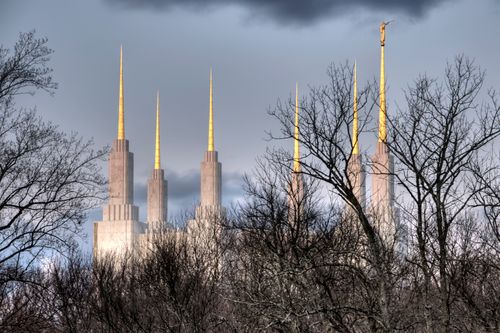 The six spires of the Washington D.C. Temple rise above the leafless tree line, with cloudy skies.