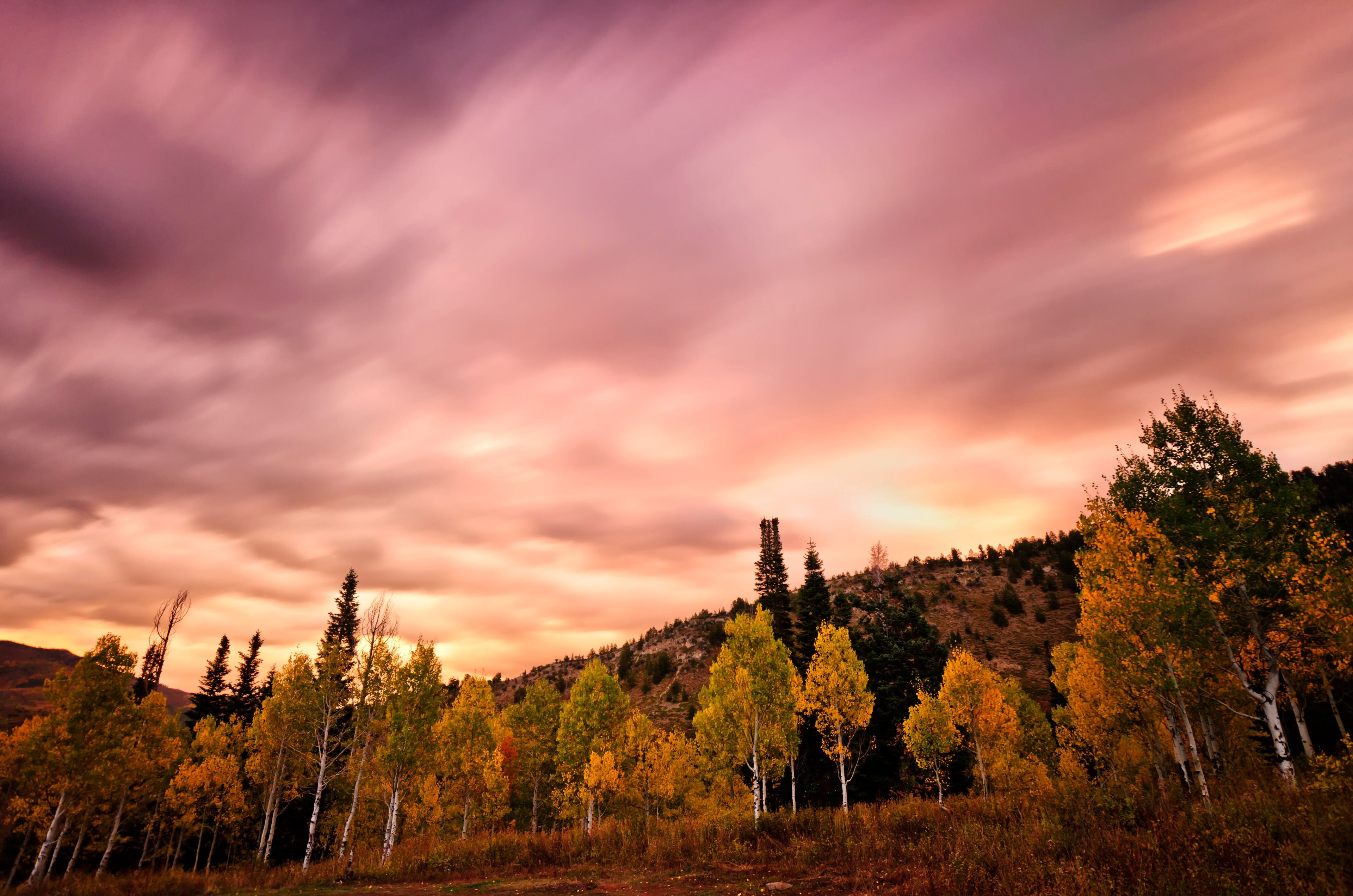 A mountainside with trees and a stormy sky at sunset.