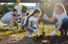 grupo de voluntários plantando árvores