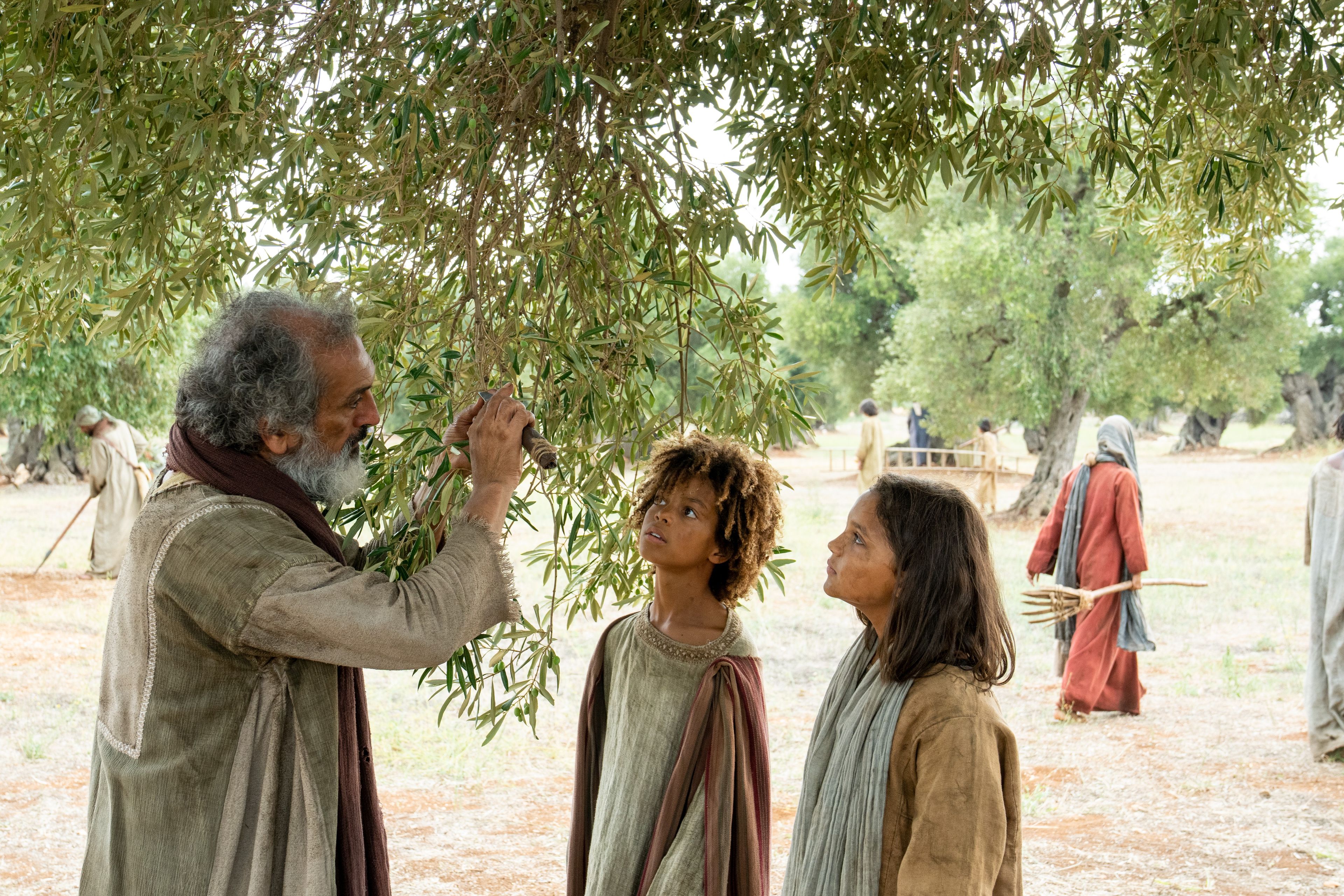 Servants of the Vineyard, men and women of all ages, labor in the vineyard with various tools. This is part of the olive tree allegory mentioned in Jacob 5.