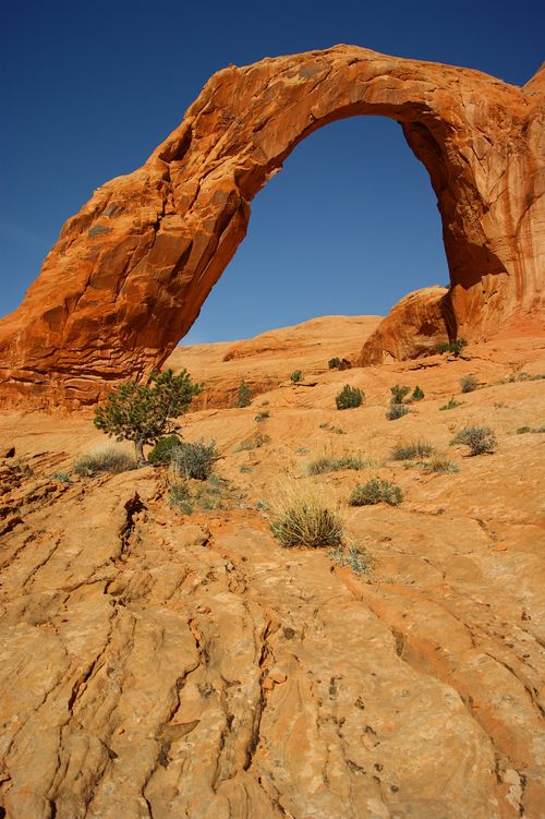A large red rock arch, with the clear blue sky in the background.