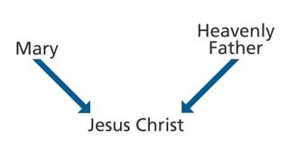 diagram of the parentage of Jesus Christ