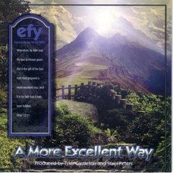 Cover art for the song "A More Excellent Way."
