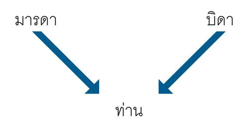 แผนภาพ บิดามารดา ตัวท่าน