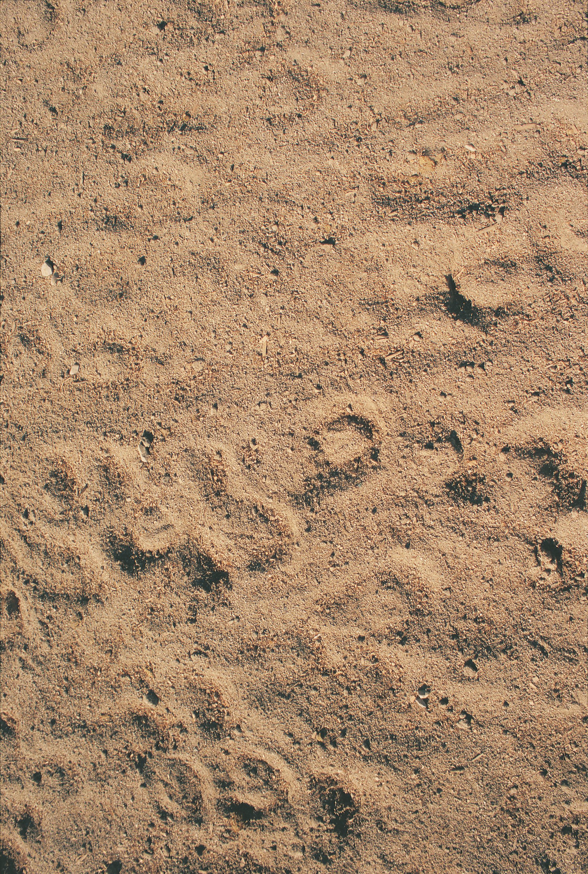 Tan sand covered in horseshoe prints.