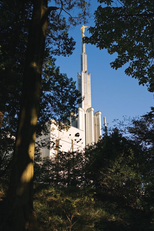 A view of the spire of the Tokyo Japan Temple through the trees on the grounds.