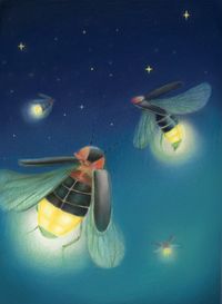 Illustration of a fireflies in the night sky