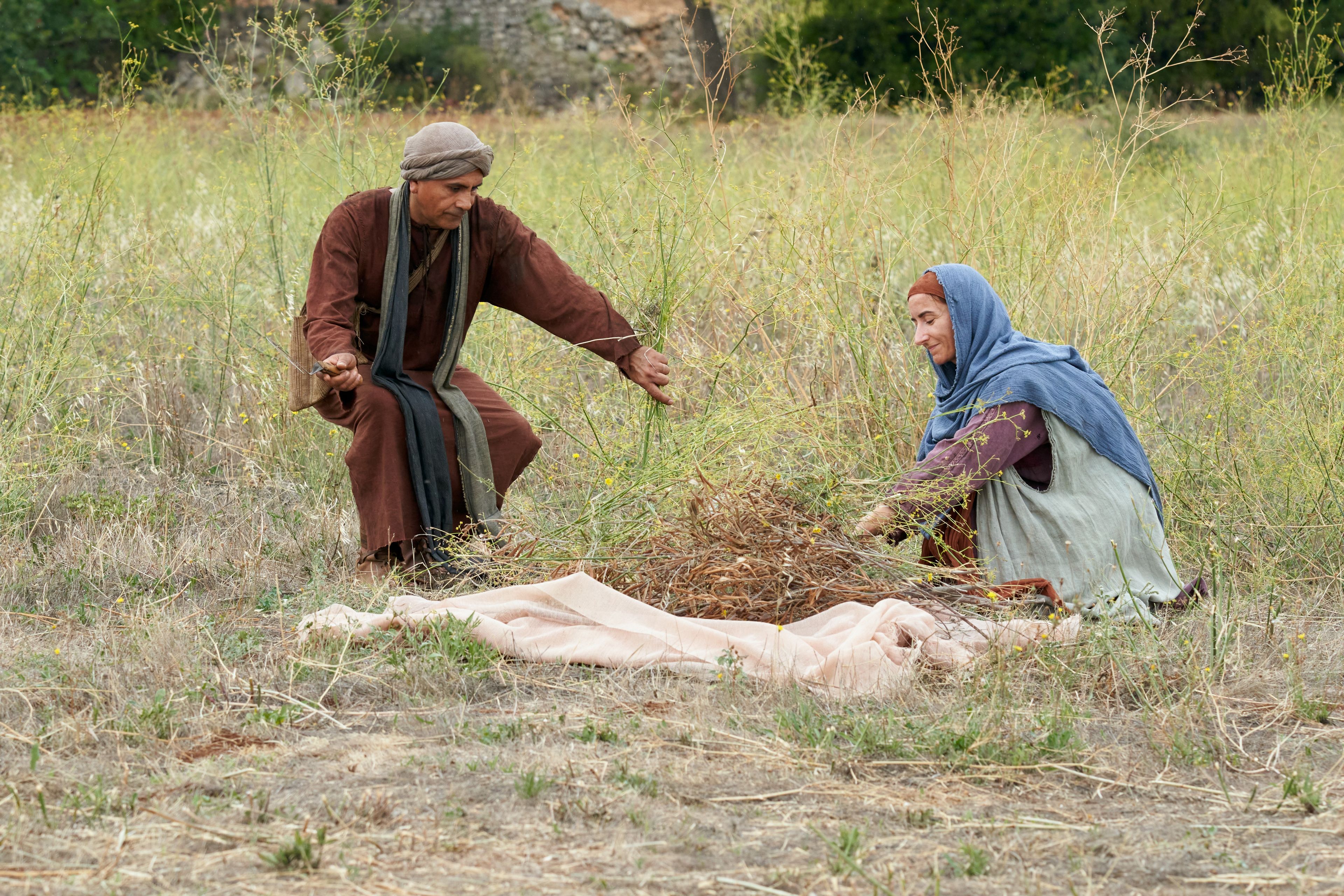 Servants labor in the vineyard with various tools. This is part of the olive tree allegory mentioned in Jacob 5.