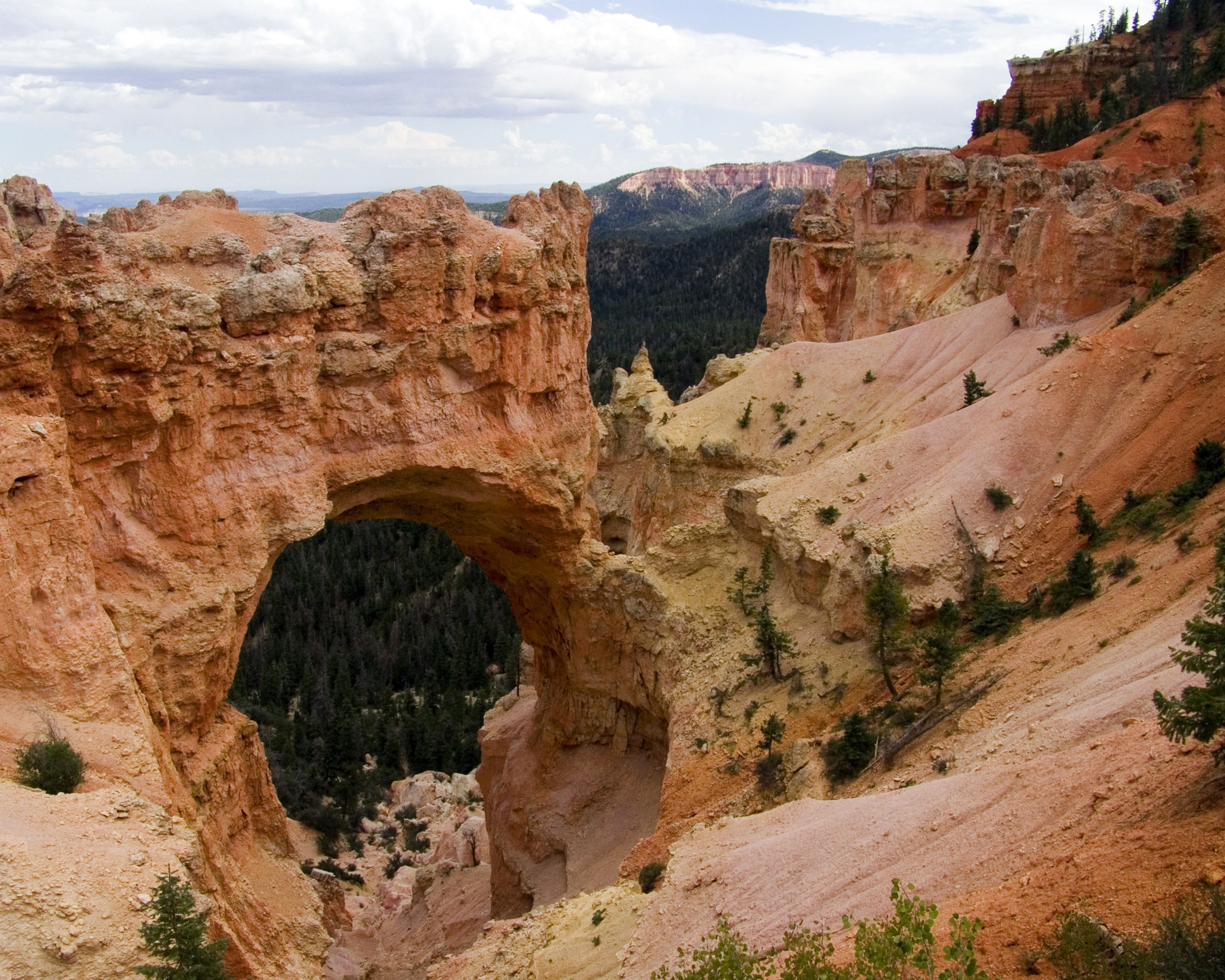 A red rock arch in a canyon.
