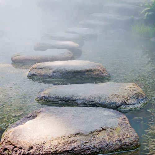 stepping stones