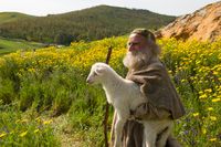 shepherd holding lamb