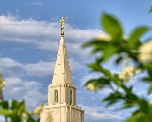 The spire on the Kansas City Missouri Temple with the angel Moroni, in the daytime, with the green leaves of a tree in the foreground.