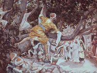 Zacchaeus in the Sycamore Tree