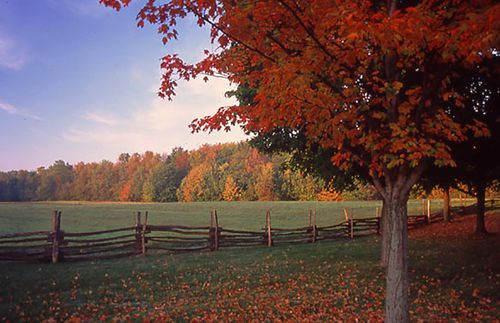 This photograph is from the trail to the Sacred Grove on the Joseph Smith farm near Palmyra, New York.