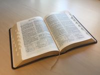 Bible open to the book of Hosea