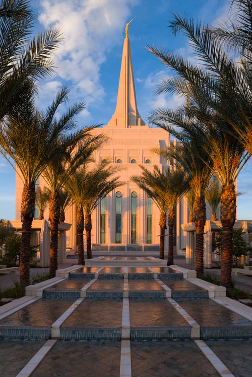 A row of palm trees lining a long water feature leading toward the Gilbert Arizona Temple, in the evening.