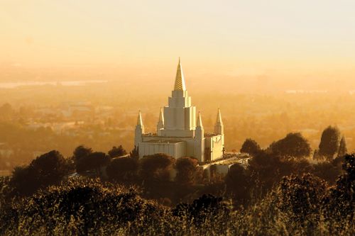 A view of the Oakland California Temple from above, showing the surrounding area in yellow evening light.