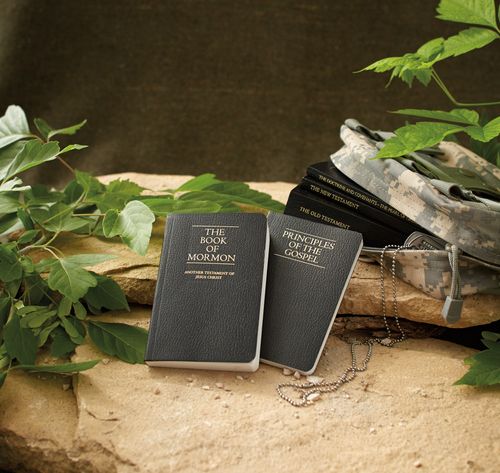 Copies of the Book of Mormon and principles of the gospel
