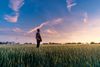 un hombre en el campo observa el atardecer