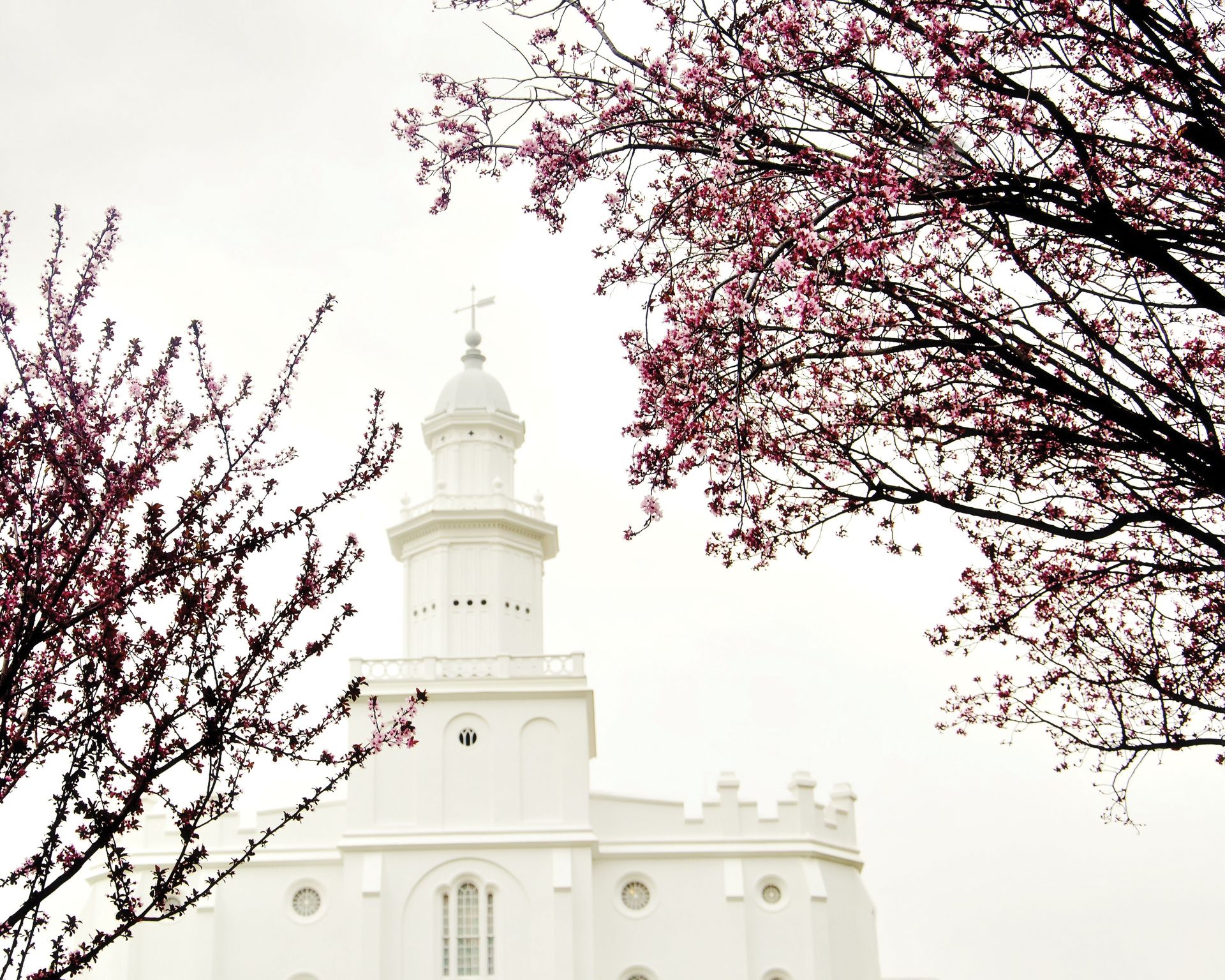 The St. George Utah Temple in the spring, including scenery.