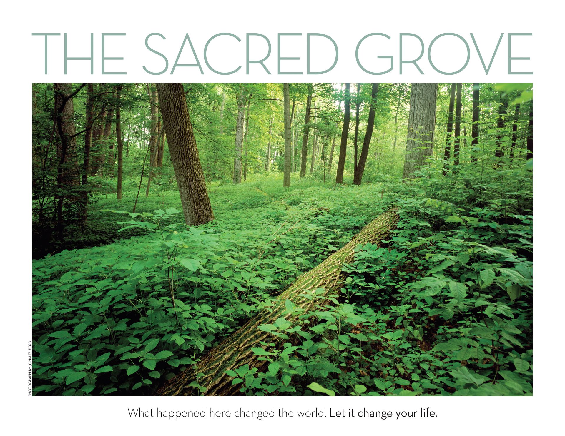 The Sacred Grove: What happened here changed the world. Let it change your life. June 2011 © undefined ipCode 1.