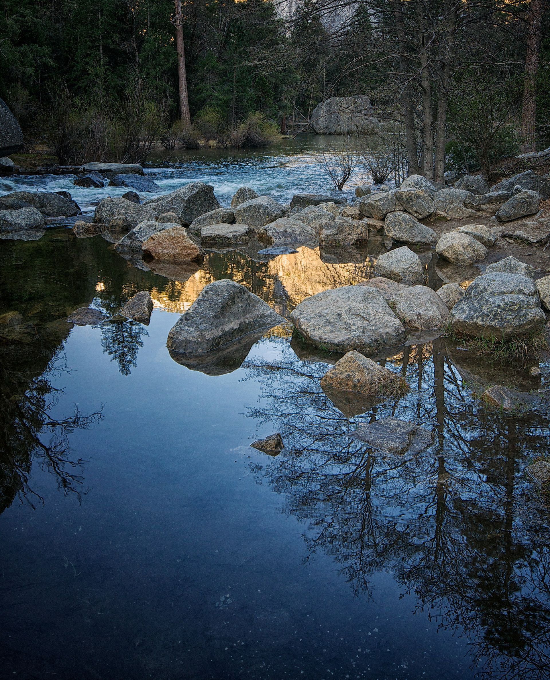 Mountains and trees at Yosemite National Park are reflected in water.