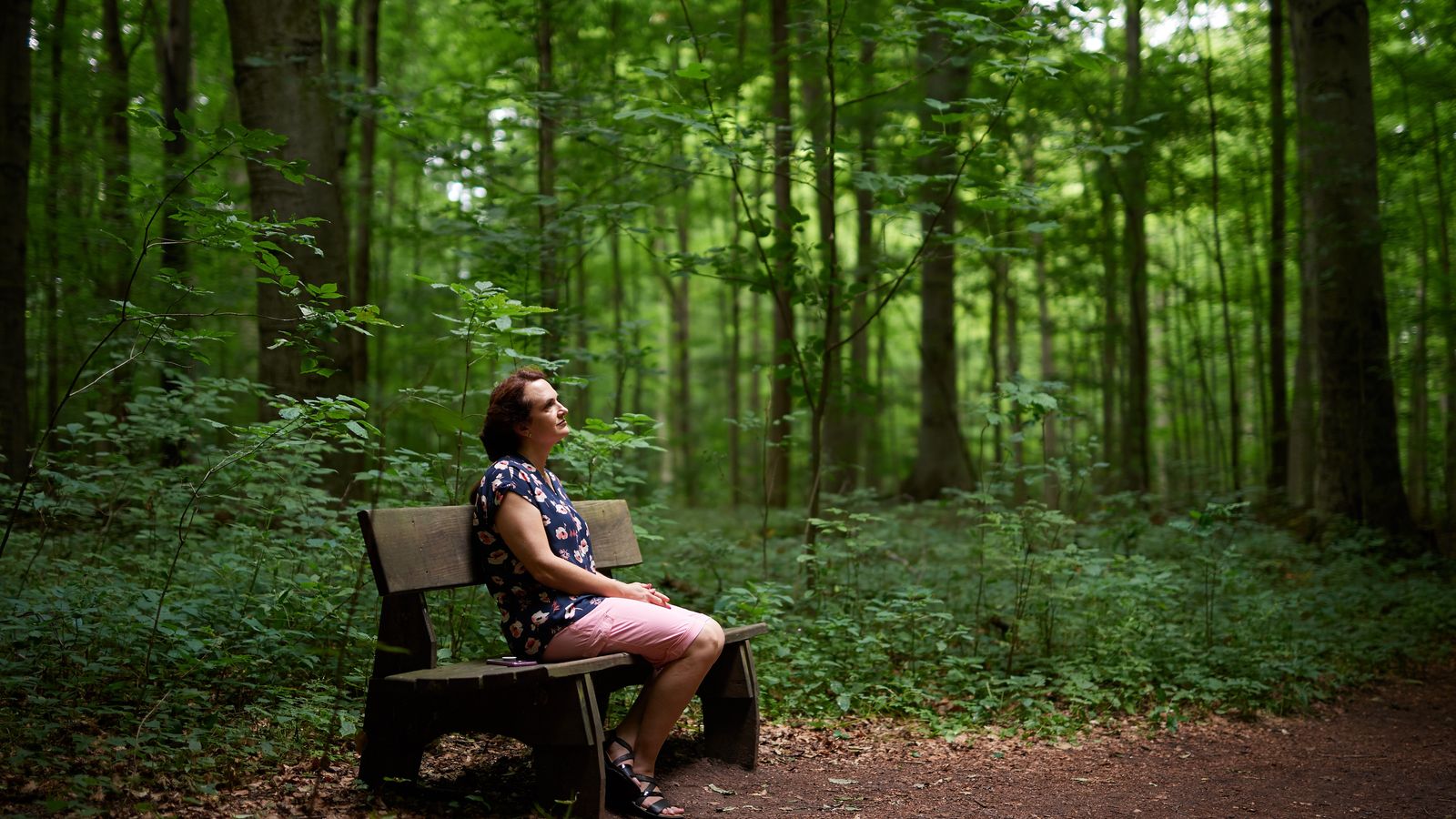 Various people sit on a bench off pathways around the Scared Grove. There are lots of trees and dirt pathways surrounding.