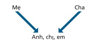 sơ đồ về nguồn gốc