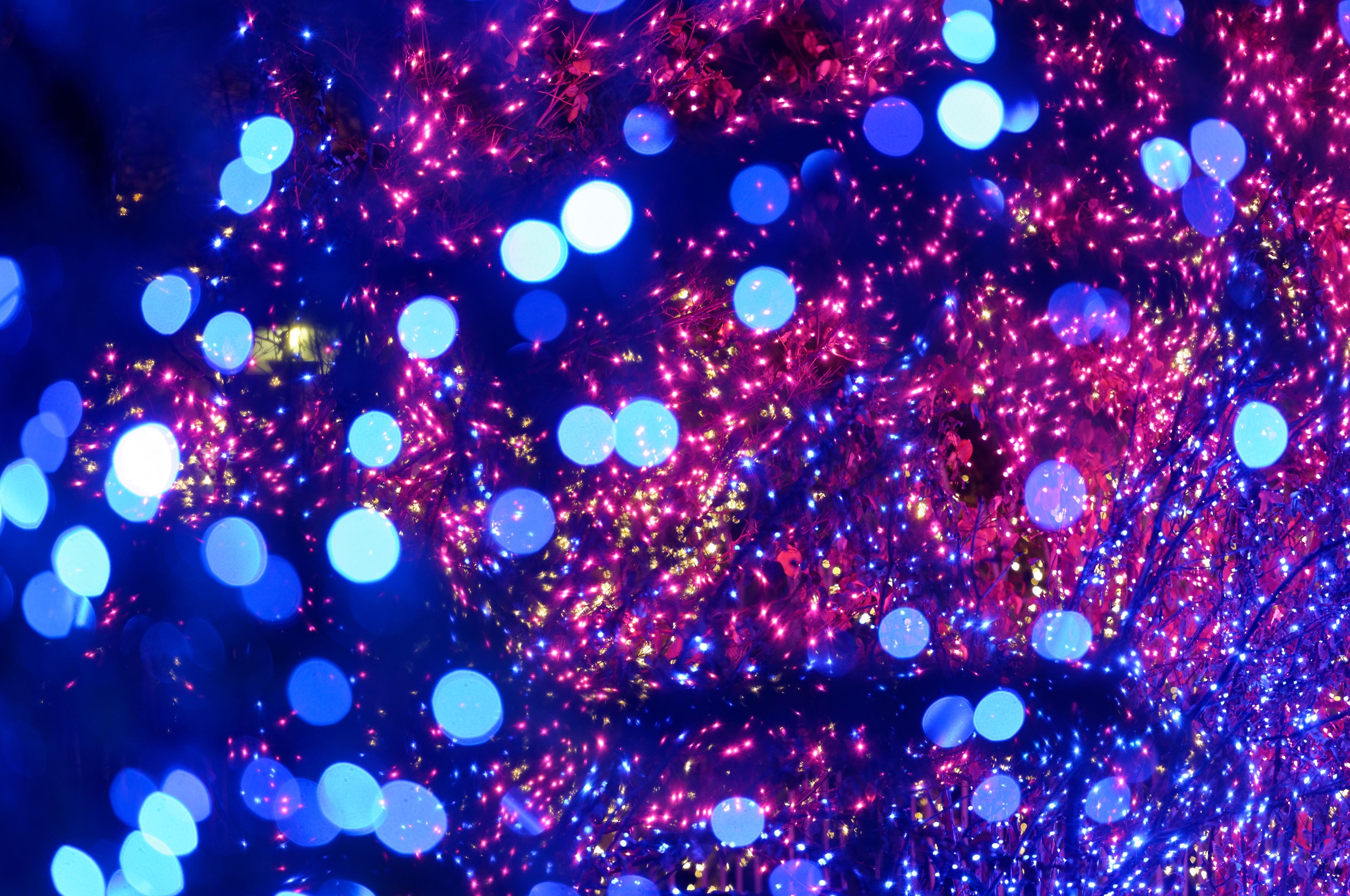 A close-up view of Christmas lights.