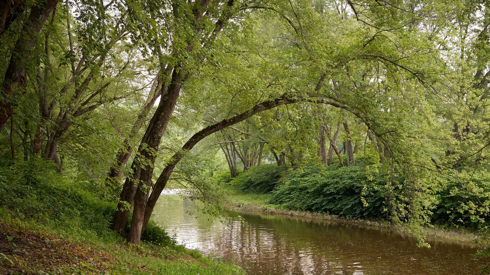 A lake near the Priesthood Restoration Site near Susquehanna Depot, Pennsylvania.
The lake is surrounded by green trees.