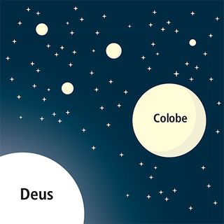 Diagrama de Colobe