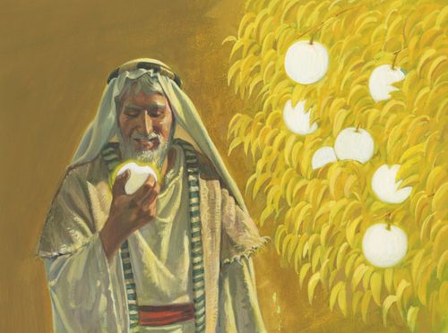 Lehi ate the fruit, and it filled him with joy.  He wanted his family to taste the fruit because he knew it would make them happy too.  Chapter 6-5 (1 Nephi 8:11-12)