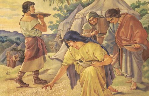 gathering manna in the wilderness