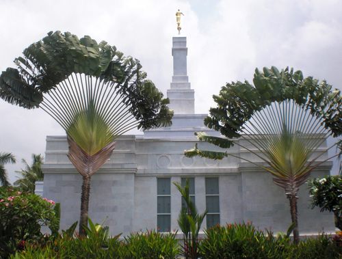 The Kona Hawaii Temple on a sunny day, with two large plants partially blocking the view.